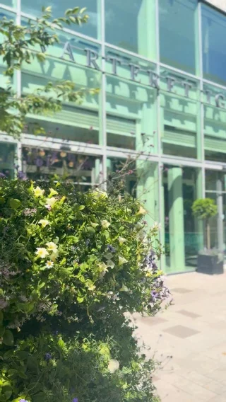 Sommar i stan börjar här ☀️ Shopping, fika & inspiration. Varje söndag erbjuder vi även gratis parkering i vårt parkeringshus under våra öppettider!

Varmt välkommen in till oss 🫶🏻

#kvarteretigor #västeråsbästacityshopping #västeråscity